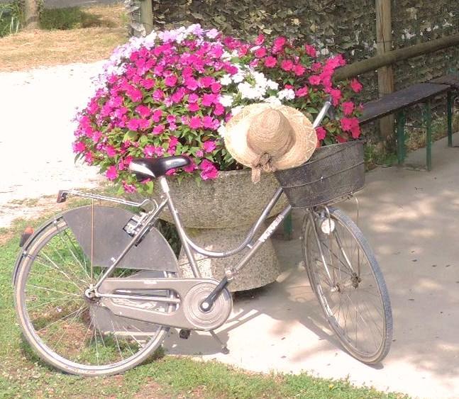 B&B I Prati Di Varmo Romans di Varmo Dış mekan fotoğraf